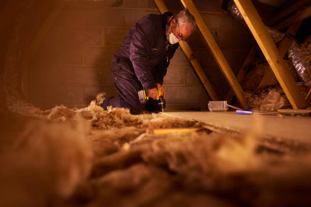 Best Fiberglass Insulation  in Liberal, KS